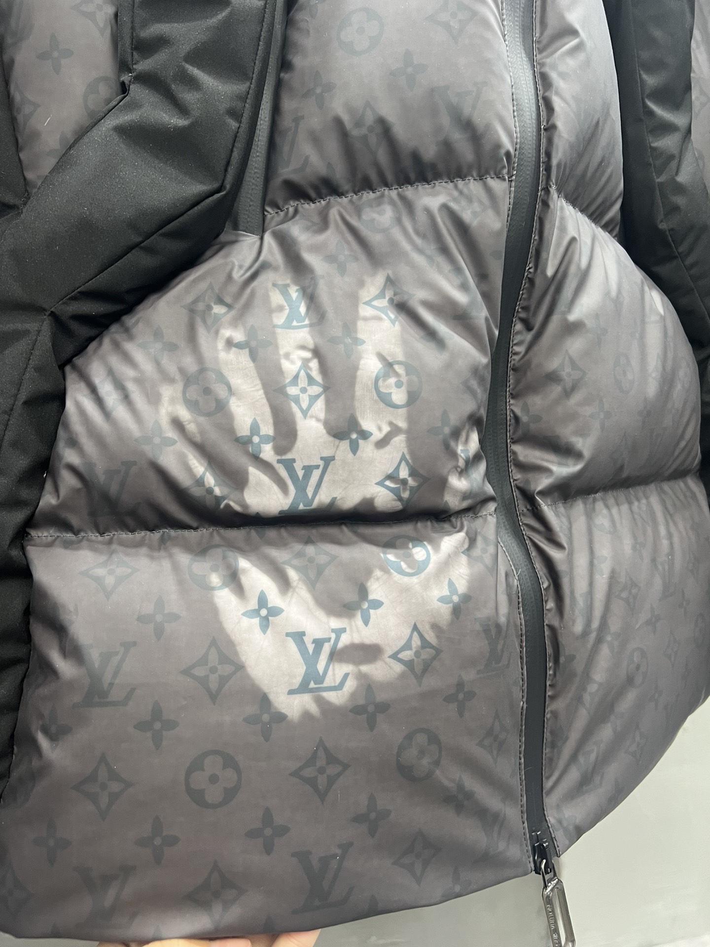 Louis Vuitton Down Jackets